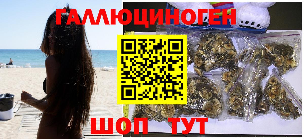 Галлюциногенные грибы мухоморы  Вход с VPN  Назрань 
